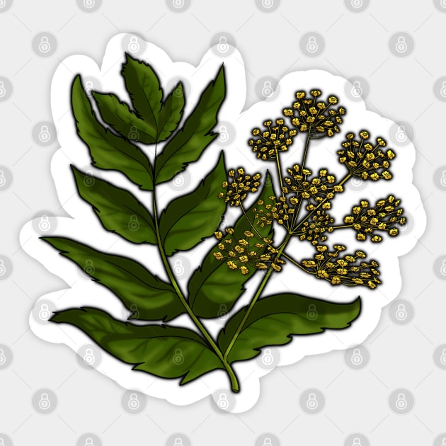 Wild Parsnip - Poisonous Pretties Sticker by LadyPenumbra